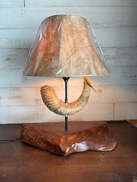 Dall sheep horn Table lamp