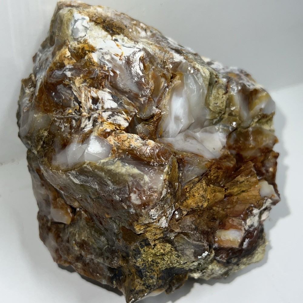Agatized Opalized Fire Petrified Wood 2 Lb 4 Oz Beautiful Display