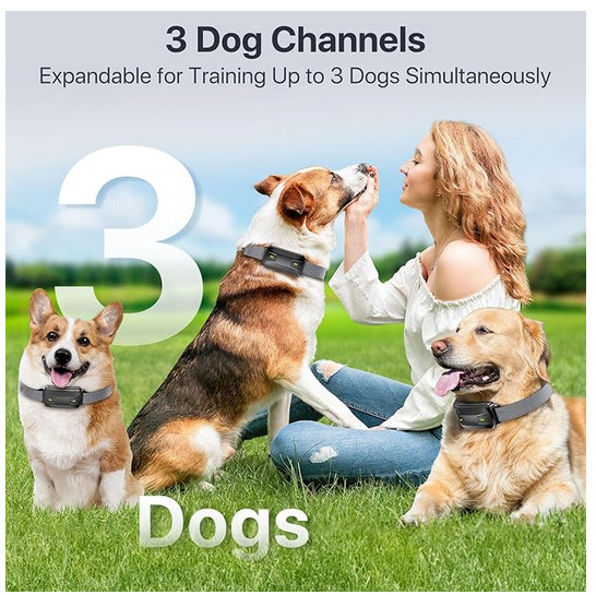 Dog Training Collar With Remote