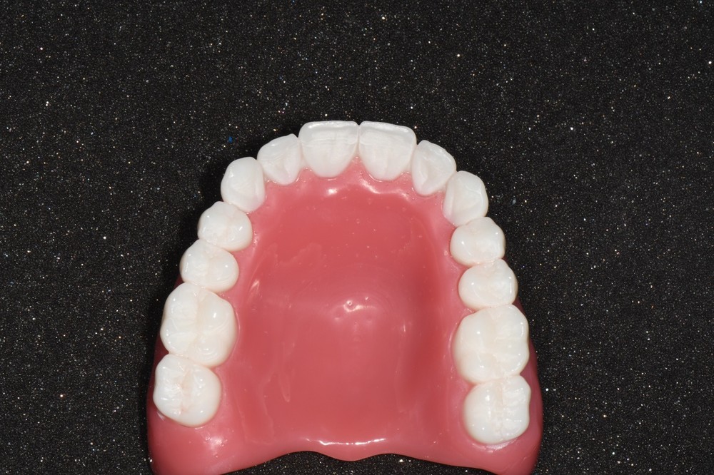 Full Denture Models , with Articulator, For Decoration and Education