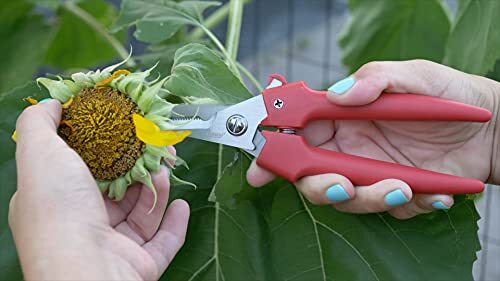 Clauss Spring-Action Stainless Steel Wire Cutters / Pruning Shears For