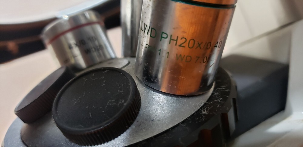 Motic AE31 Series Inverted Microscope with 3 Objectives