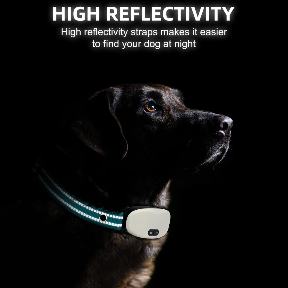 Collar Replacement Strap, Reflective Nylon Strap Dog Green