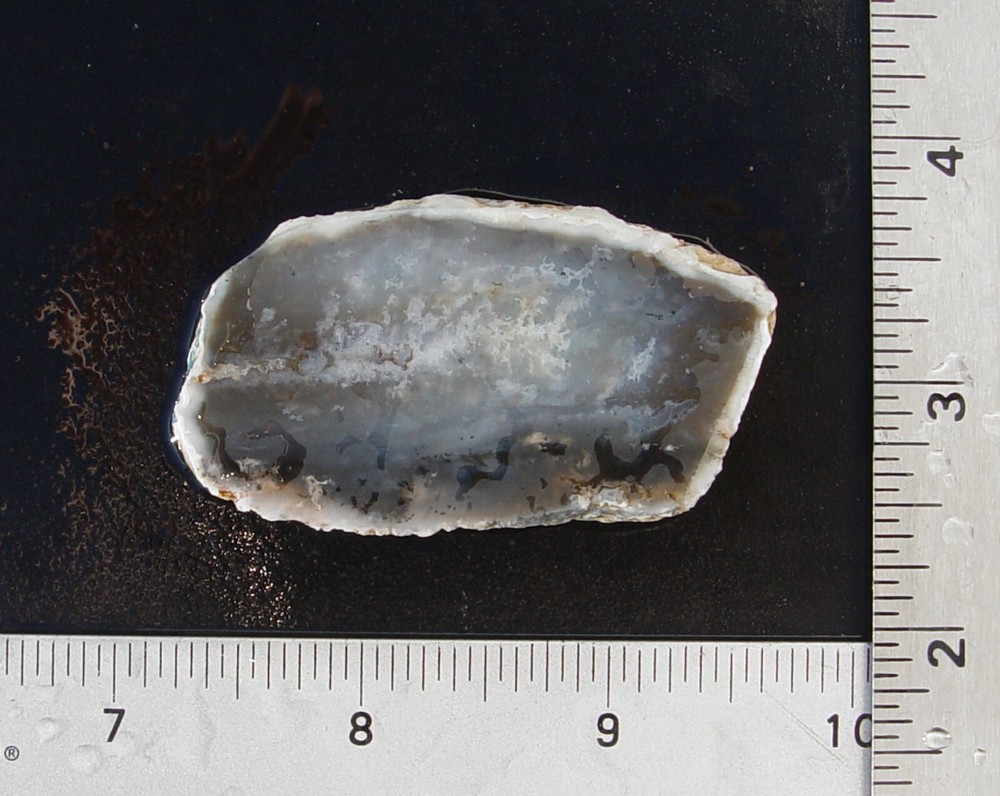 Dendritic Agate Lapidary Slab T967