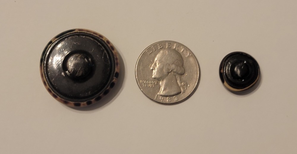 2 Vintage Bubble Top Tight Top Celluloid Buttons Triangle Design