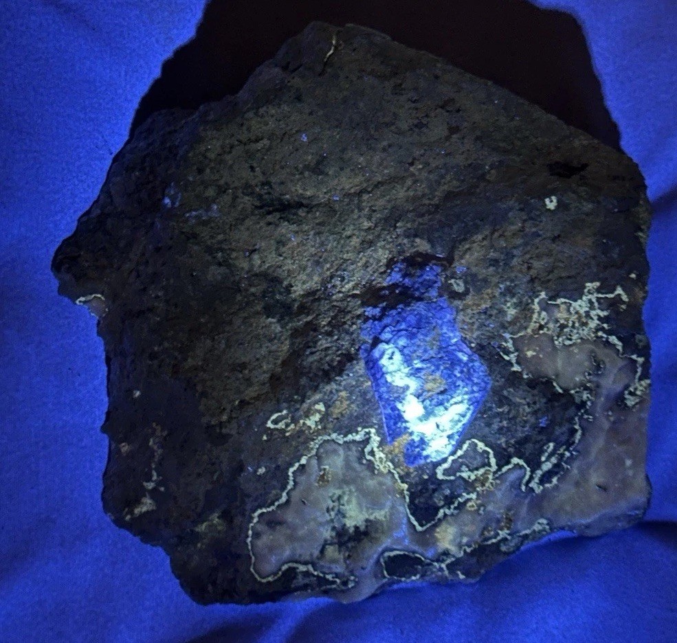 Rare Benitoite Cabinet Size Specimen