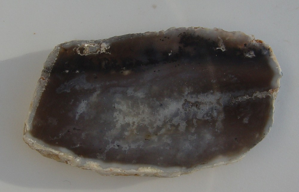 Dendritic Agate Lapidary Slab T967