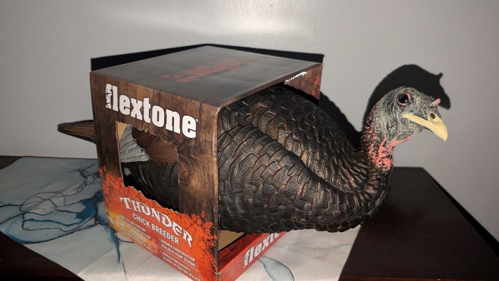 Flextone Thunder Chick Breeder FLXDY331 Free Shipping