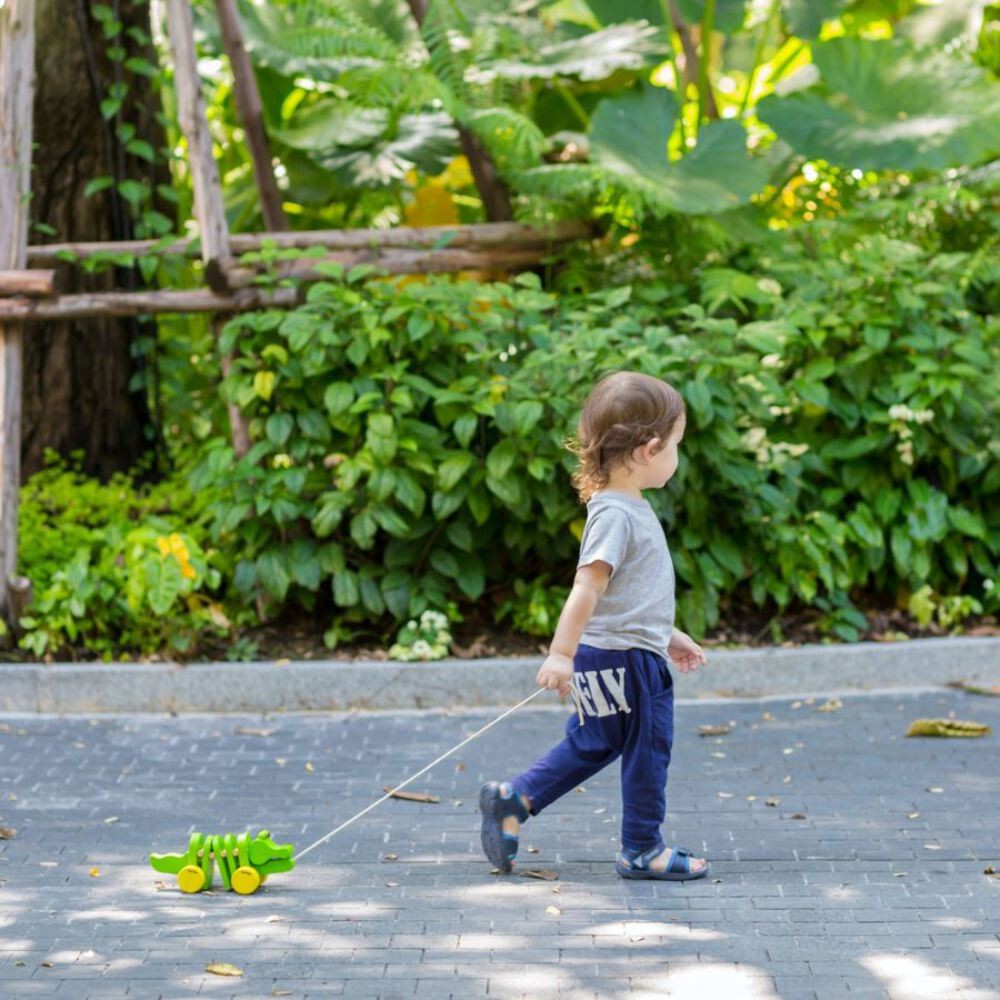 PlanToys Dancing Alligator - Open Box