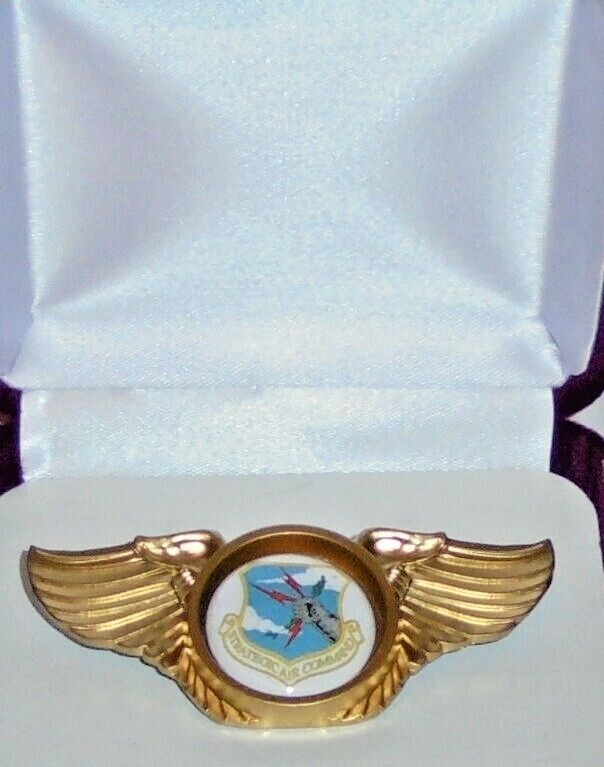 Air Force Strategic Air Command Bomber Squadron Pilot Crew Wing Jacket Hat Pin 5