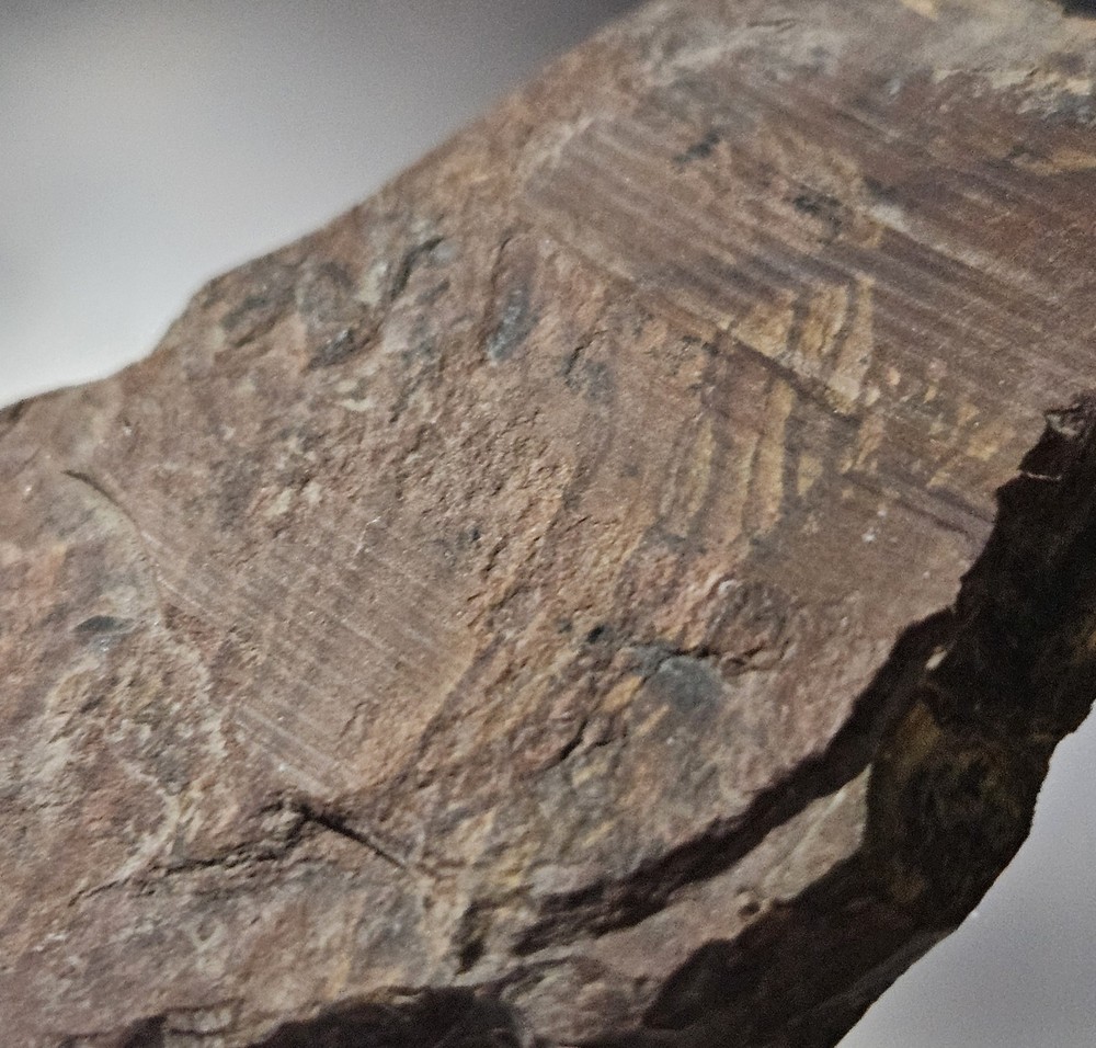 Deschutes Jasper Lapidary End Cut Slab 41 grams