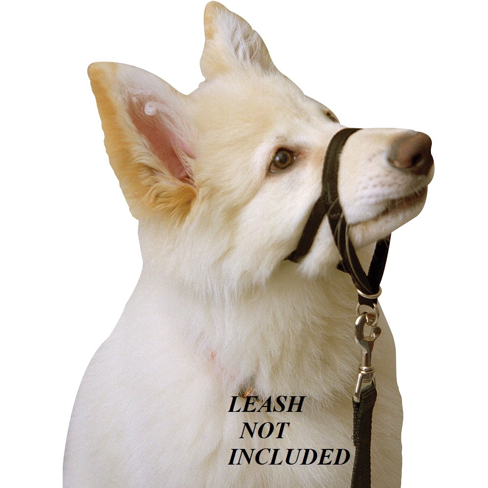 GENUINE HALTI DOG Head Collar NO PULL Slip Training HeadCollar STOP PULLING NEW!