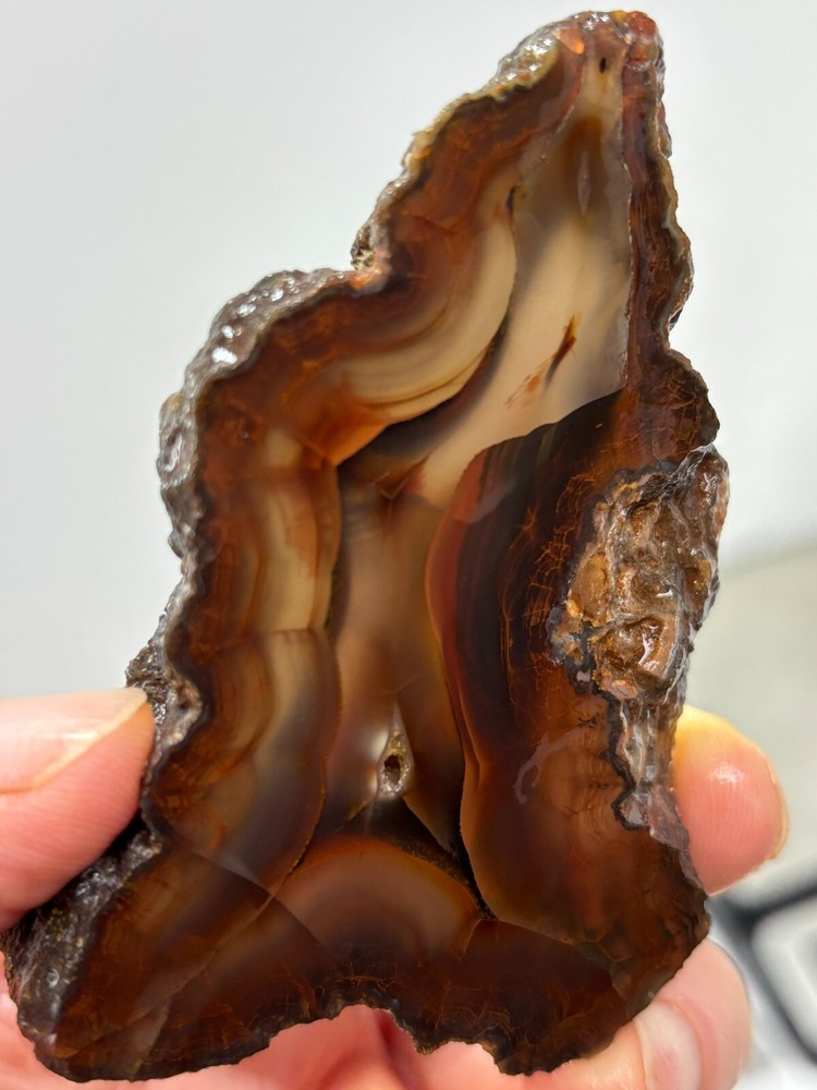 Turkish Agate slab Cabbing Lapidary Collecting Combo Ship avail