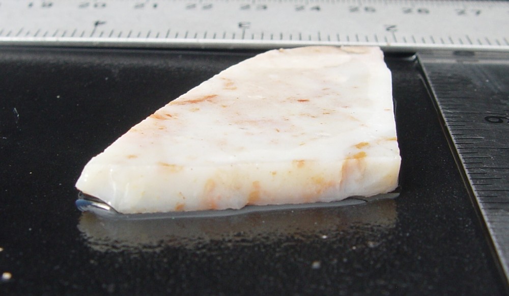 Parrall Agate Lapidary Slab T1124