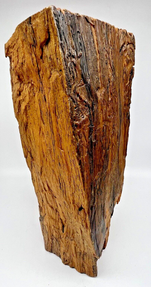 Old Horseshoe Embedded in a Tree 11" X 10" Primitive