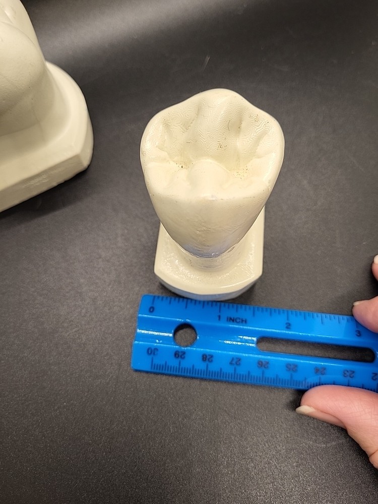 Two Weird Tooth Models 1970's