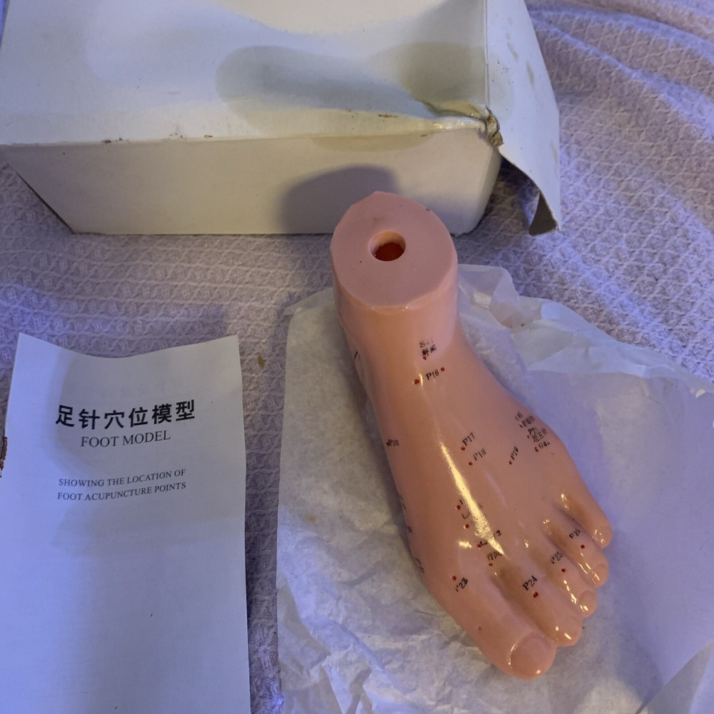 Human Acupuncture  Foot Teaching Learning Model Tool 13 Cm English Version