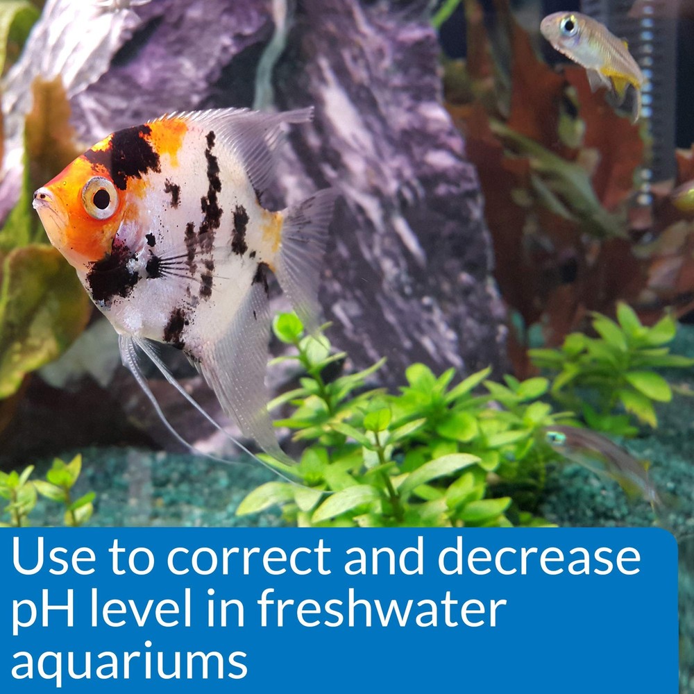 API Aquarium pH Control Kit: pH Down 16oz & pH Up 4oz - Freshwater