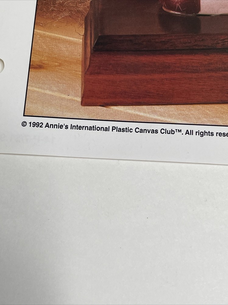 Wood Duck Wall Hanging Annie's Attic Plastic Canvas Pattern