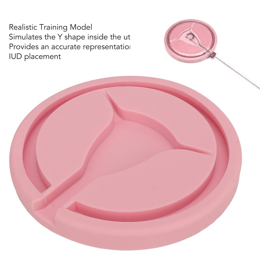 IUD Training Shape Inside Female Intrauterine Contraceptive Device For