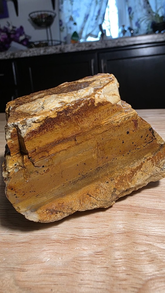 owyhee picture jasper