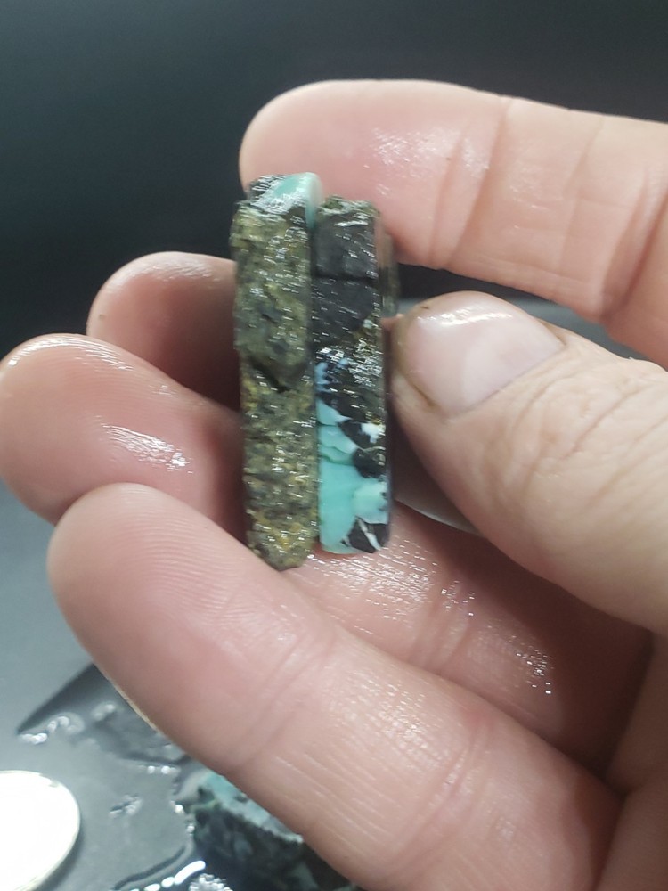 Nevada Gecko Variscite Slabs