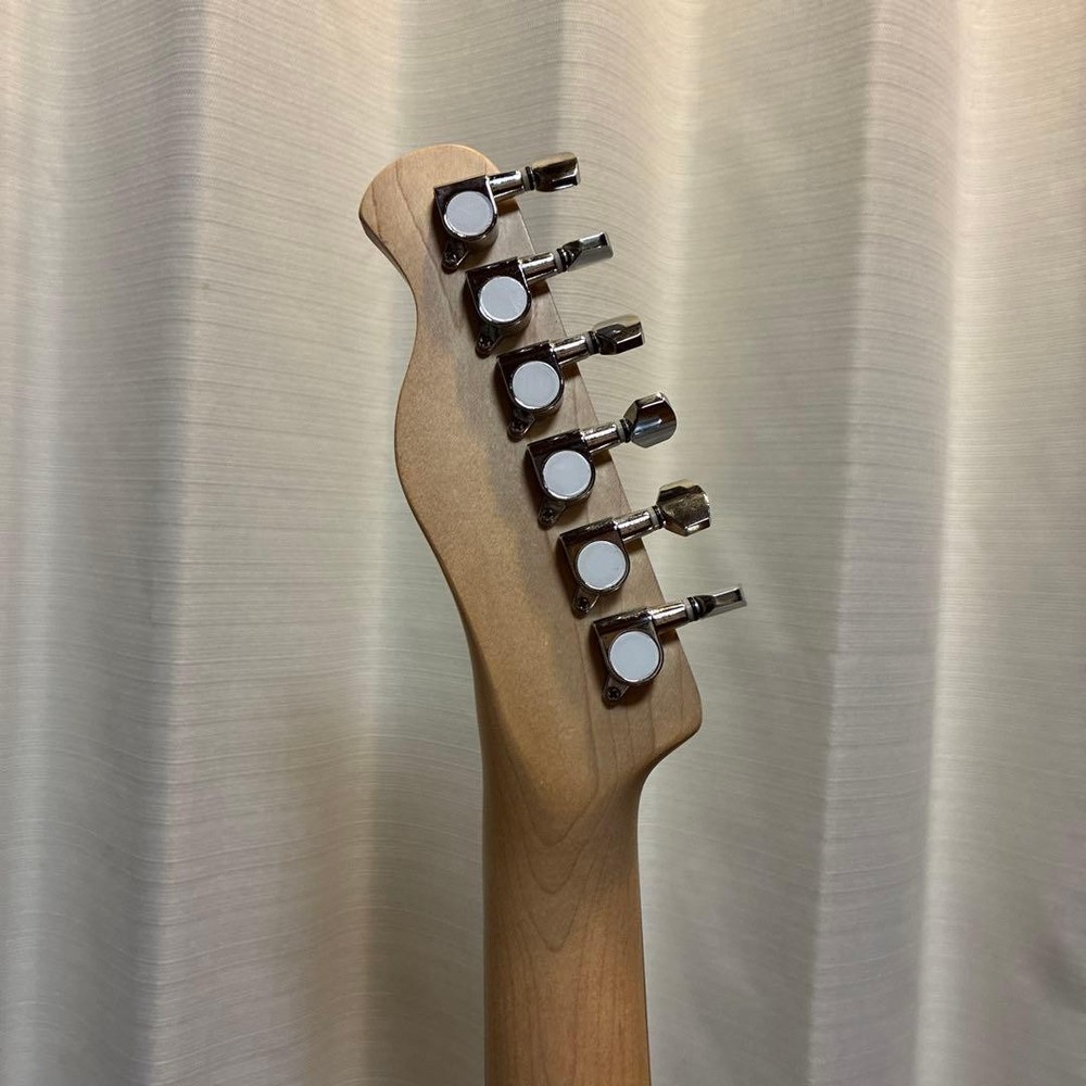 Bacchus Universe Series Telecaster