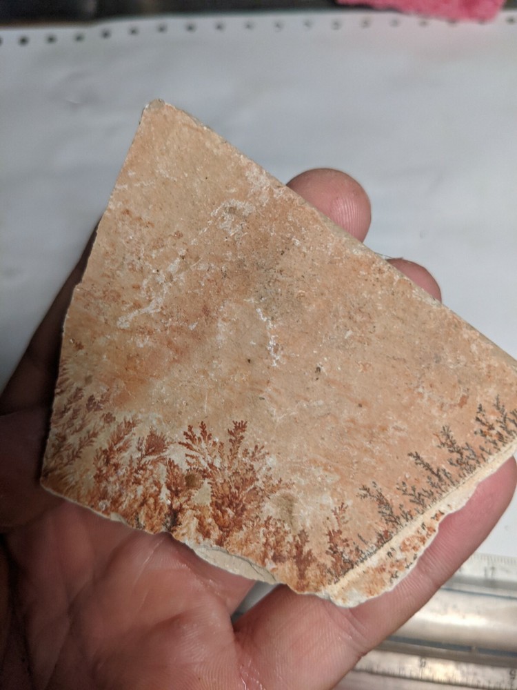 Print Stone Slab Dendritic Limestone Dendrites