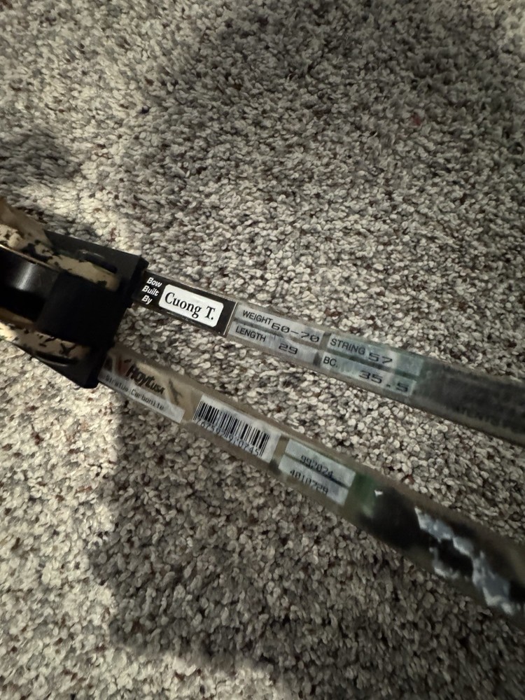 Compound Bow Hoyt Status Carbonite model, 60-70 lbs