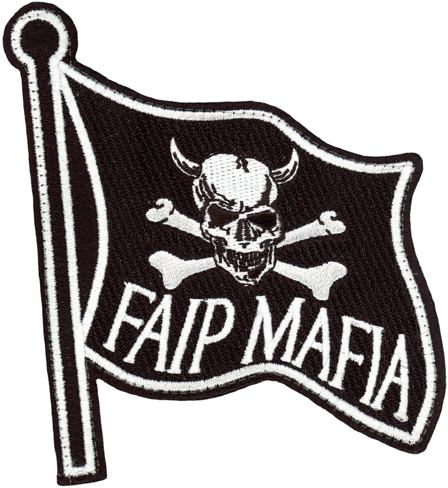 USAF 434th FIGHTER TRAINING SQUADRON PATCH -  FAIP MAFIA