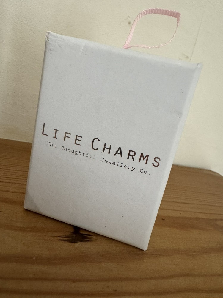 Life Charms Initial M Silver Clip Charm