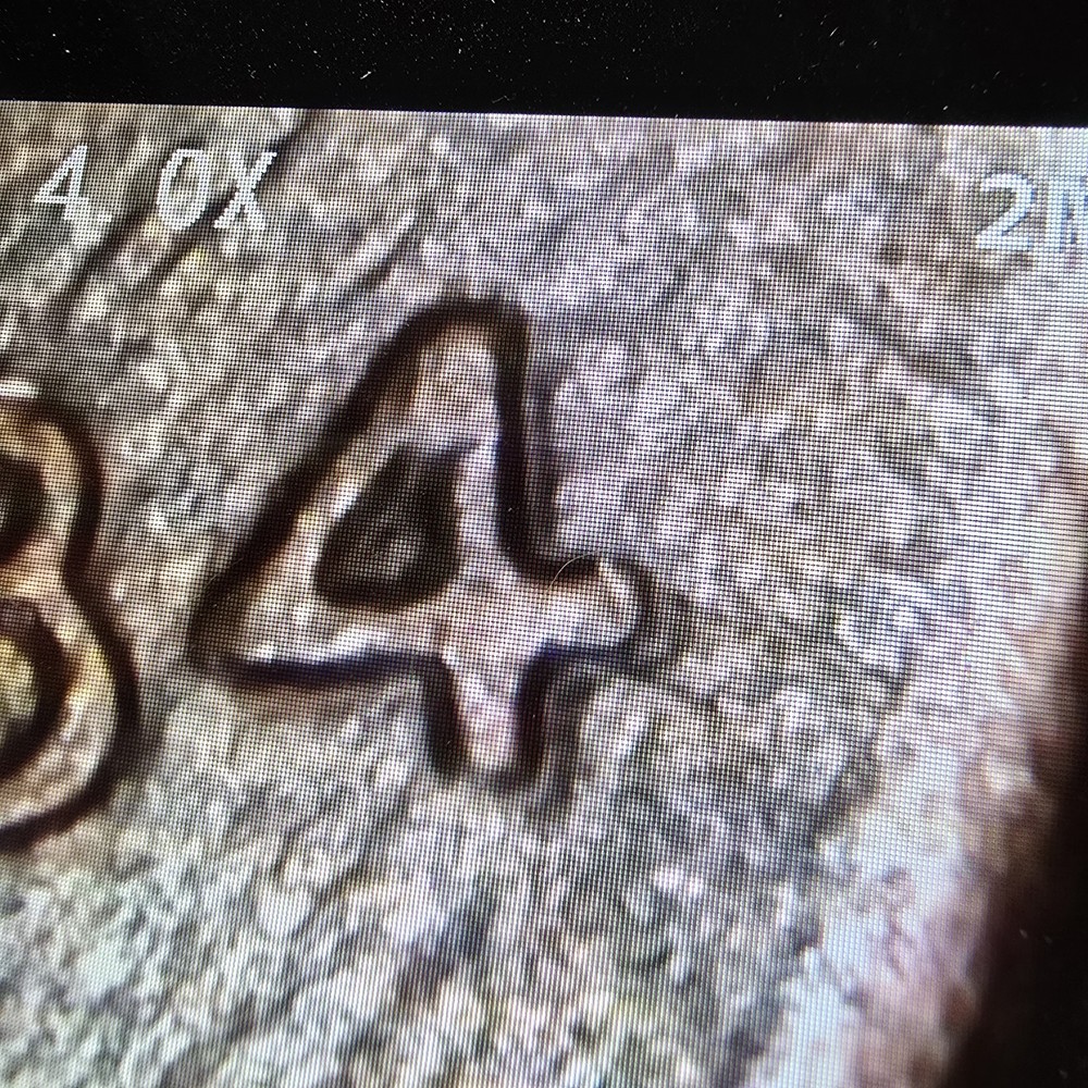 1984 Penny Possible Error