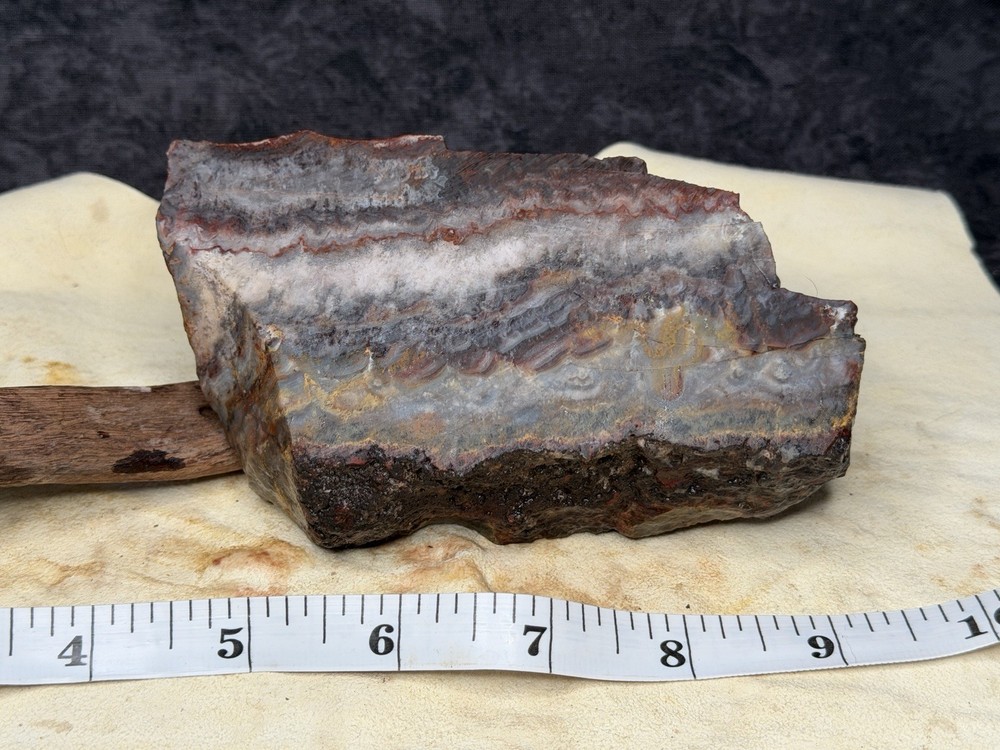 Serape Jasper 1 1/4” End slab, Lot #85