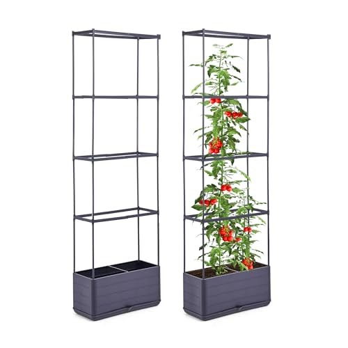 GENMOUS 2 Pack Raised Garden Bed, 4 Tier Rectangular Tomato Planter Box with