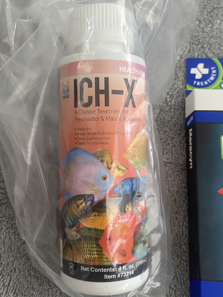Hikari Ich-X