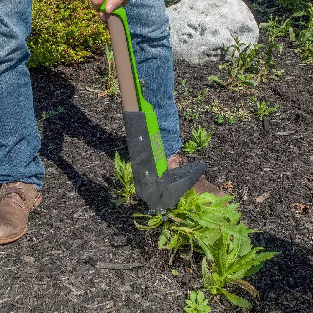 Stand-Up Weeder