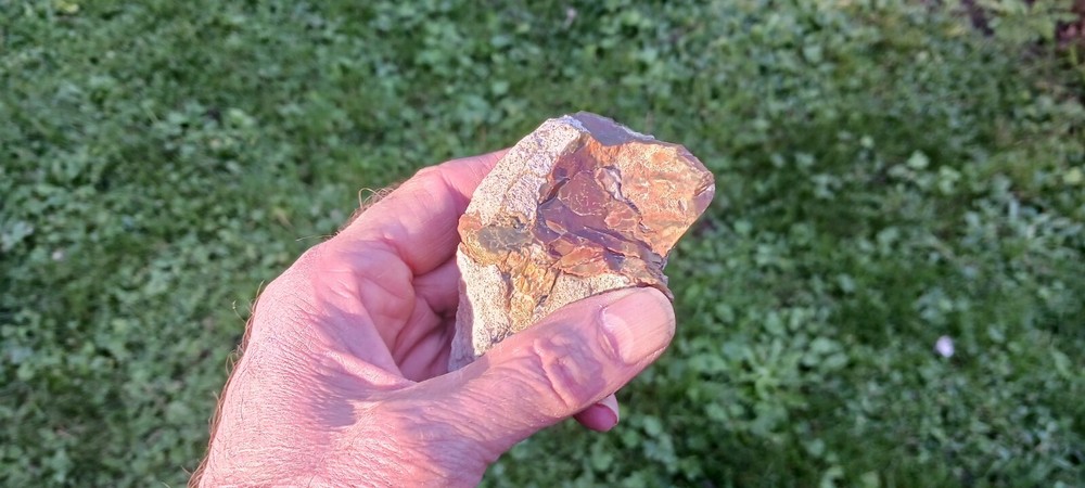 CARRASITE Jasper Polished Specimen