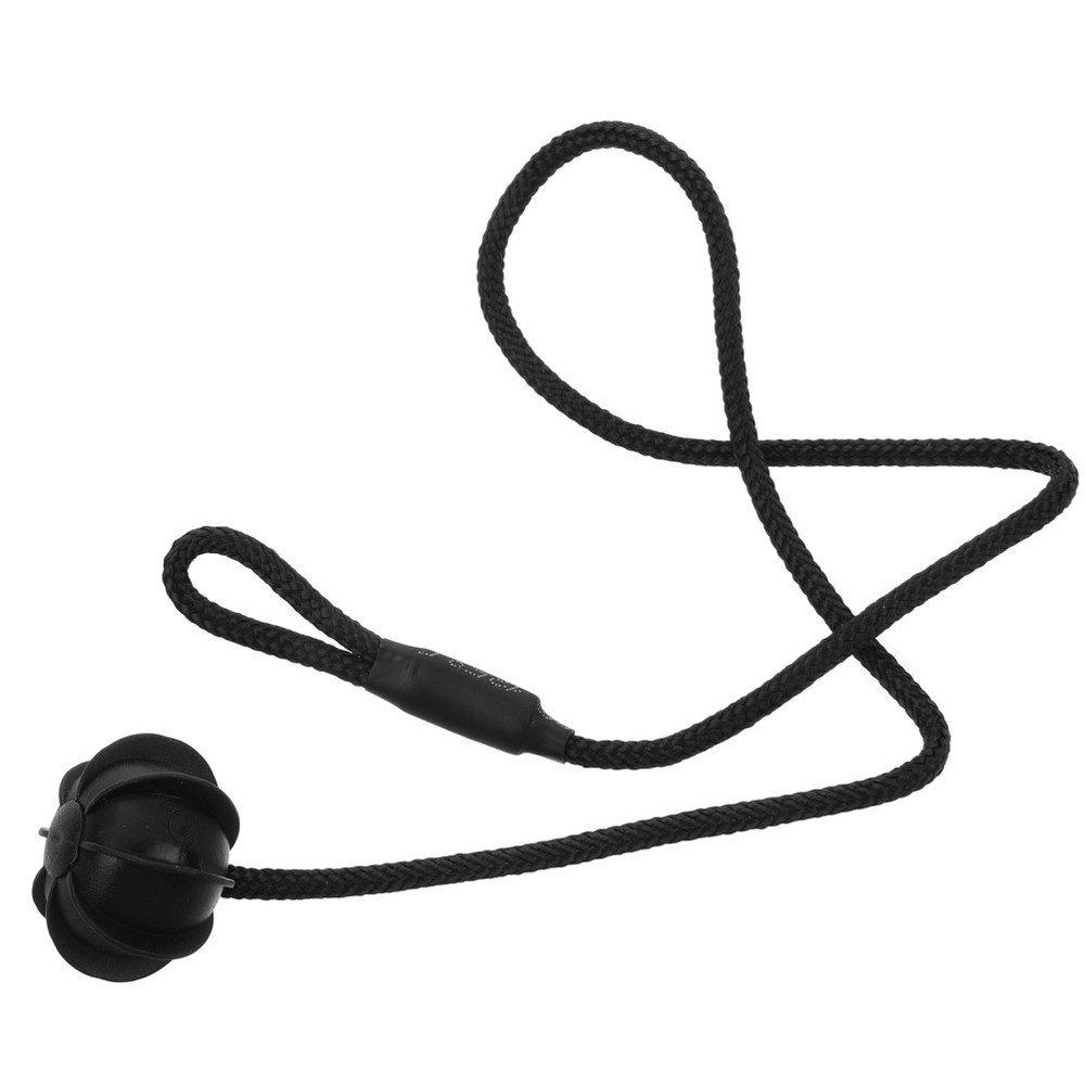 Universal Parcel Shelf String Hatchback Trunk Cover Straps Car Organizer