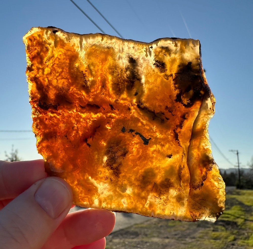 Graveyard Point Plume Agate Slab, 86 grams, Cabbing/Lapidary
