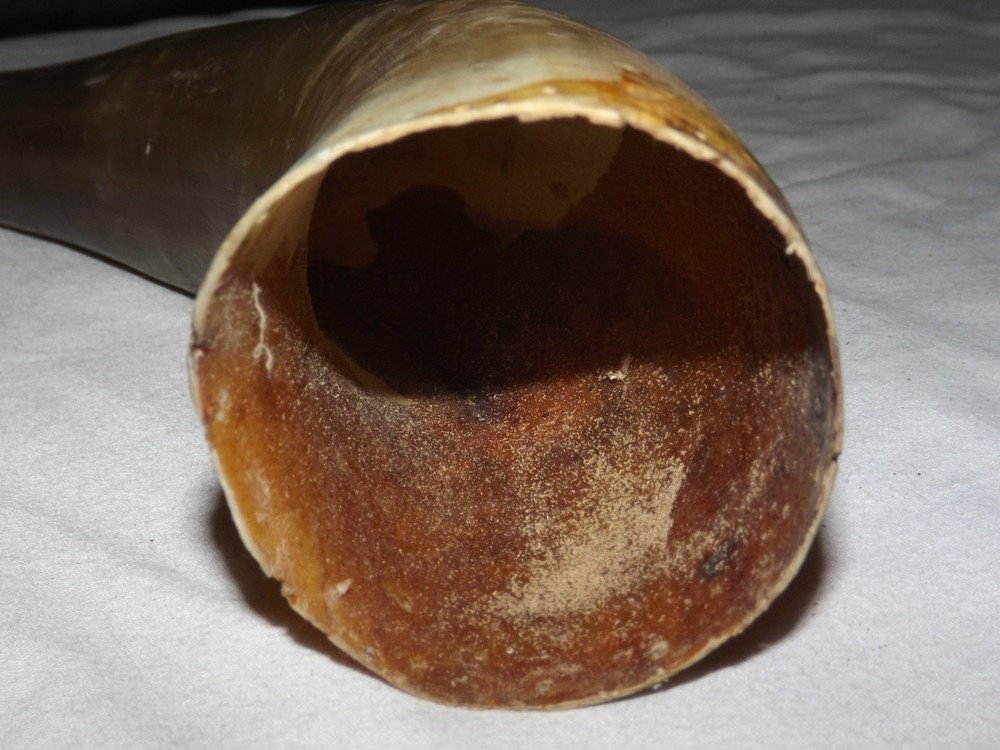 VINTAGE POWDER HORN UNKNOWN YEAR MADE