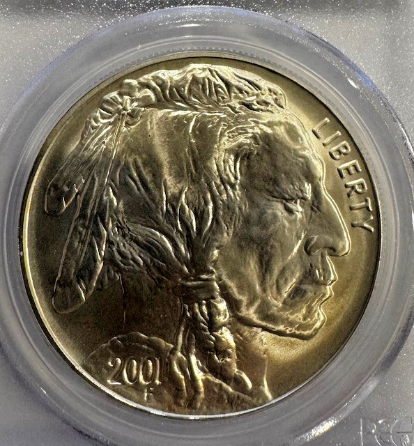 🦬 RARE TONED 2001‑D Buffalo Silver Dollar – PCGS MS69