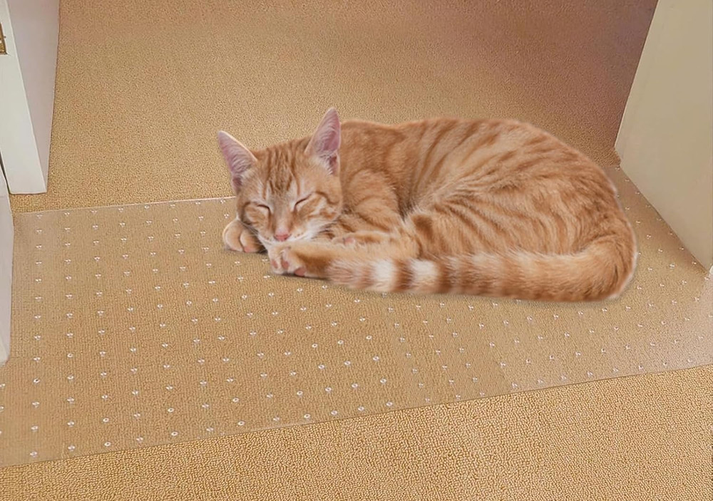 QWR 8.2Ft Carpet Protector for Cats, Clear Plastic Carpet Protector for Doorway