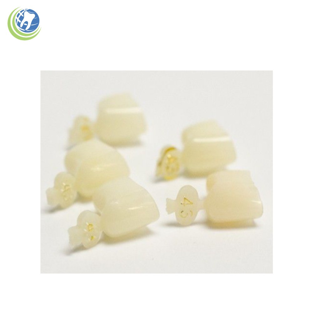 DENTAL POLYCARBONATE TEMPORARY CROWNS #43 FIRST (1ST) BICUSPIDS SMALL 5/PACK