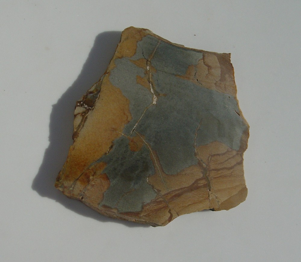 Owyhee Picture Jasper Lapidary Slab 1430