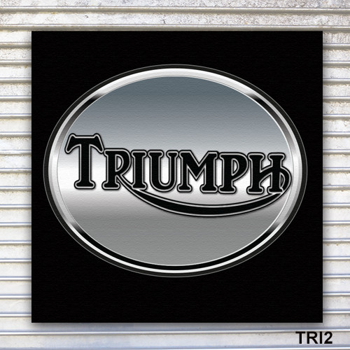 Triumph Banner Sign Wall Art