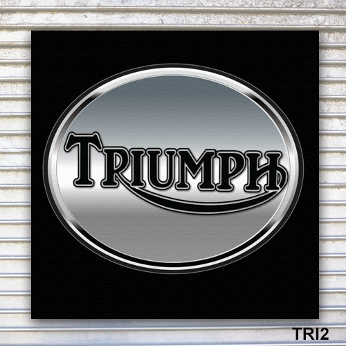 Triumph Banner Sign Wall Art
