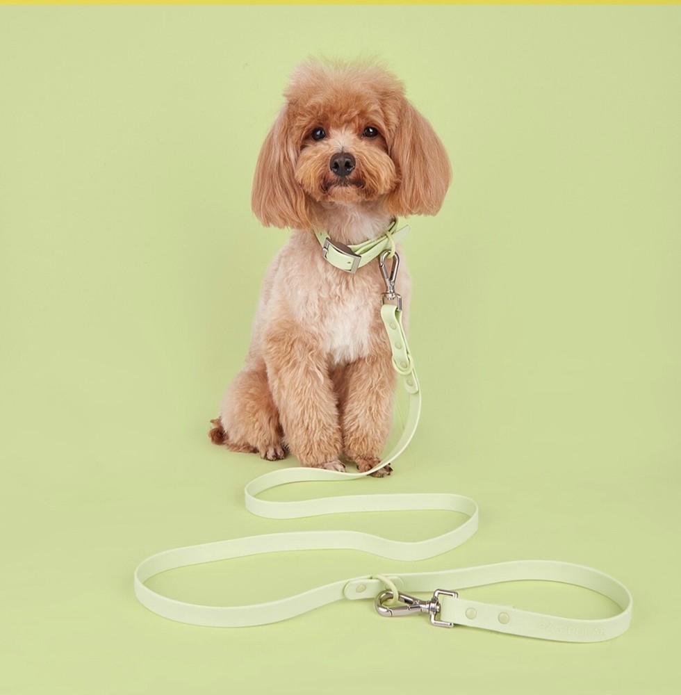 pet traction rope set