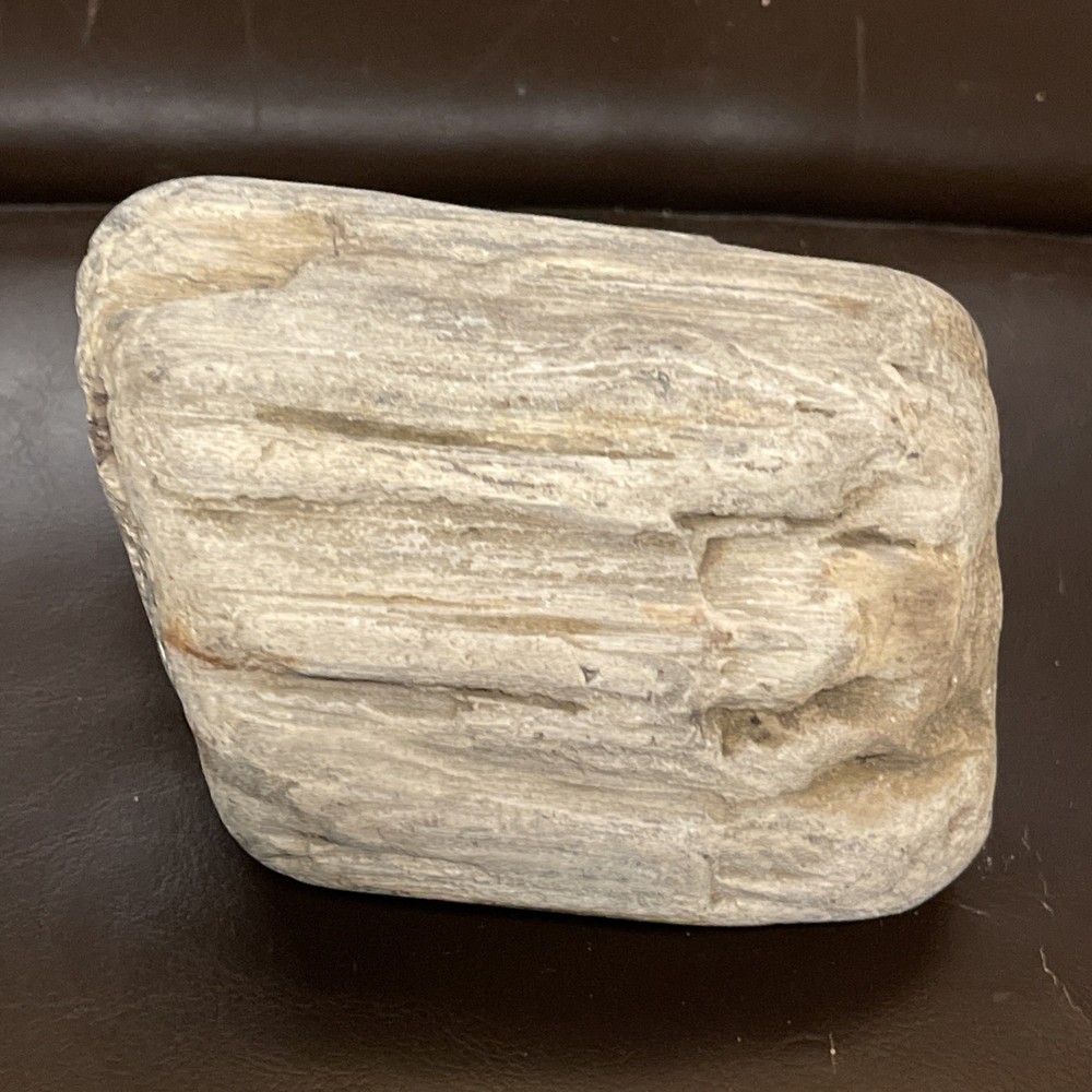 Petrified Wood 2lbs Beautiful