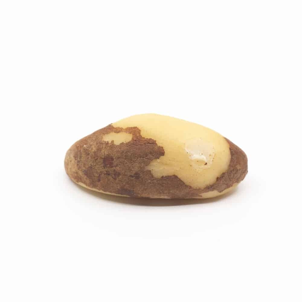Bulk Brazil Nuts 10 lb Wholesale Box