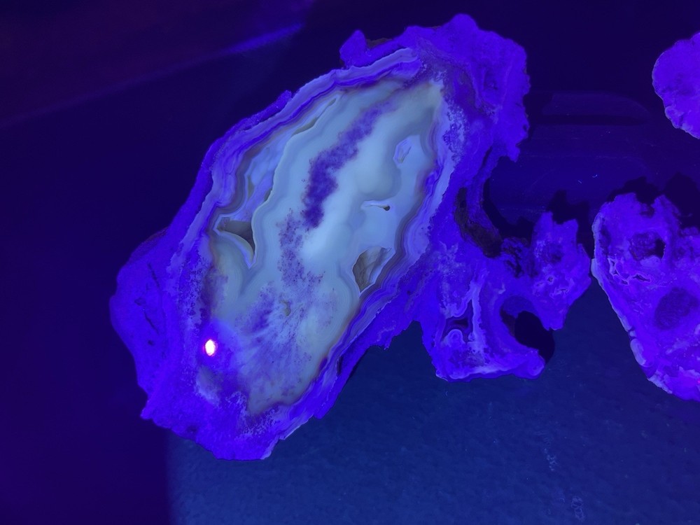 Huge Polished Agatized Coral Geode
